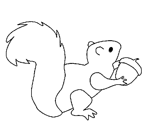 Squirrel coloring page