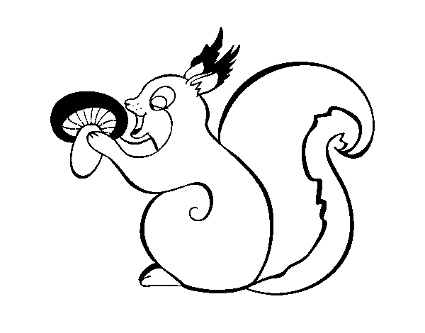 Squirrel of the woods coloring page