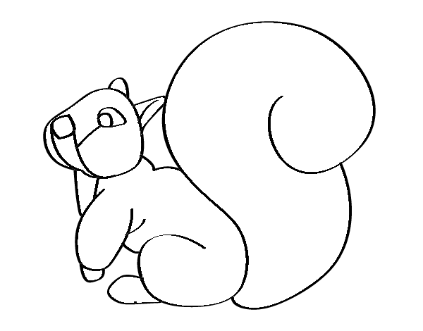Squirrel with a large tail coloring page
