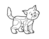 Stray cat coloring page