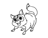 Street cat coloring page