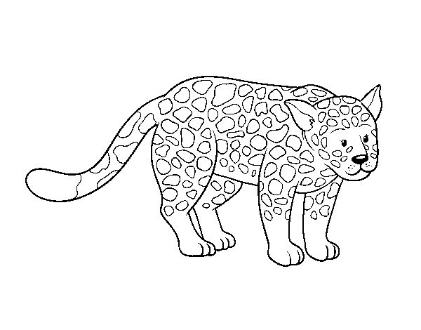 The cheetah coloring page