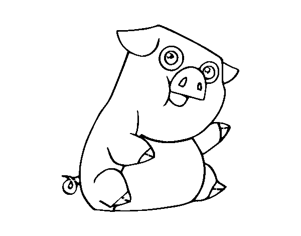 The domestic pig coloring page