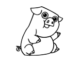 The domestic pig coloring page