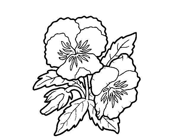 Thought flower coloring page