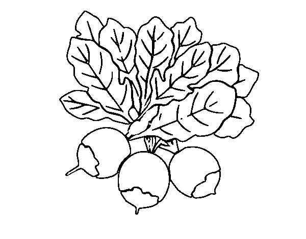 Three beet coloring page