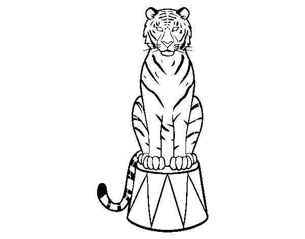 Tiger of circus coloring page