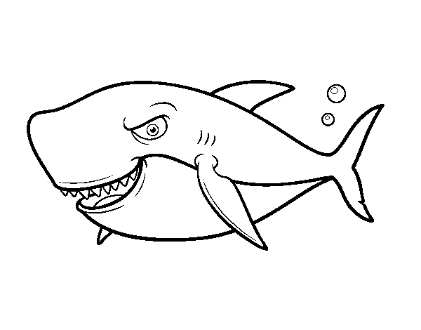 Toothy shark coloring page