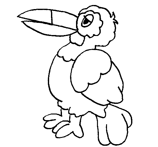 Toucan  coloring page