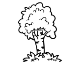 Tree 7 coloring page