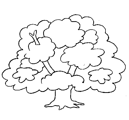 Tree coloring page
