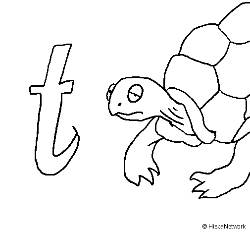 Turtle coloring page