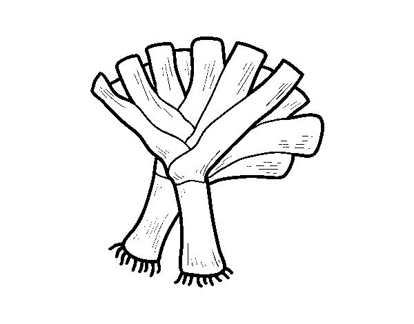Two leeks coloring page
