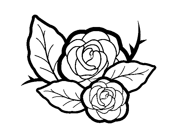 Two roses coloring page