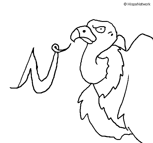 Vulture coloring page