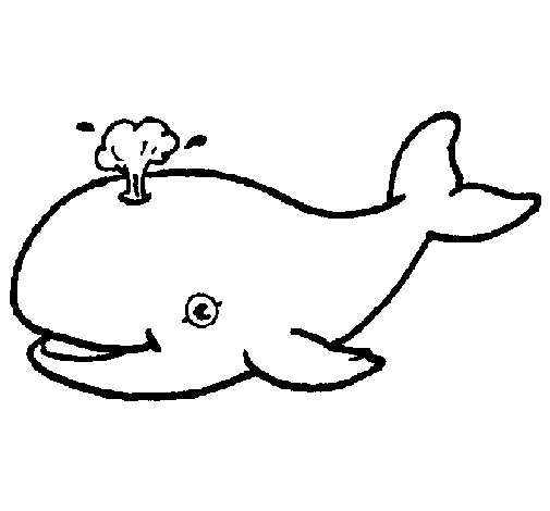 Whale shooting out water coloring page