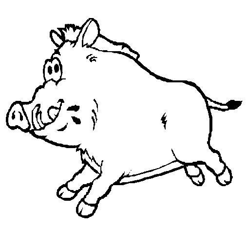 Wild boar coloring page