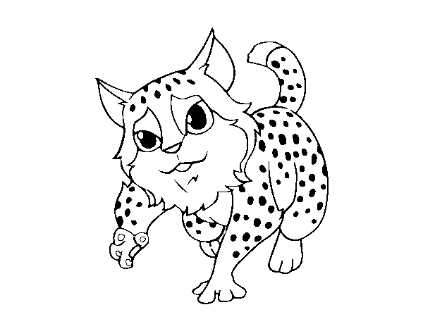 Wildcat coloring page