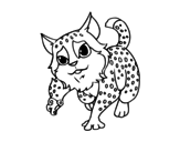 Wildcat coloring page