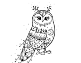 Winter Barn owl coloring page