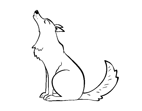 Wolf howling coloring page
