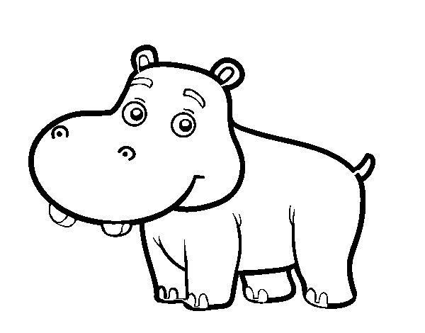 Young Hippopotamus coloring page