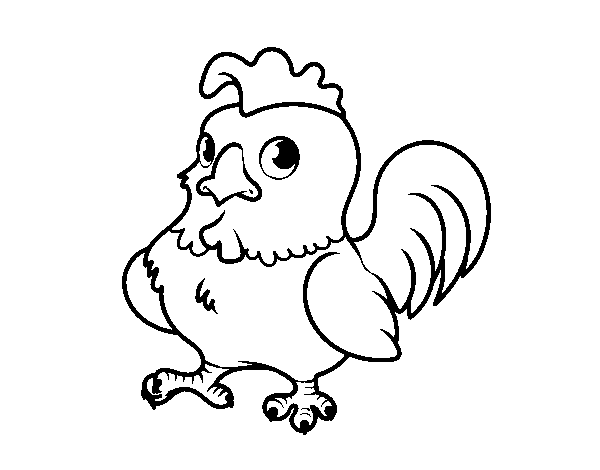 Young rooster coloring page