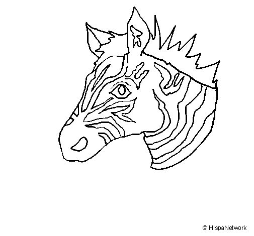 Zebra II coloring page