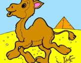 Coloring page Camel painted byjavi