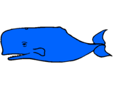 Coloring page Blue whale painted bymarina