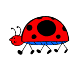 Coloring page Ladybird walking painted bymeloy