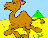 Coloring page Camel painted bymarina