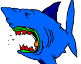 Coloring page Shark painted byivan
