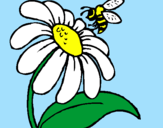 Coloring page Daisy with bee painted byRoberta