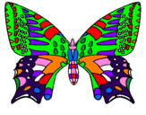 Coloring page Butterfly 5 painted byEDINA