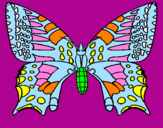 Coloring page Butterfly 5 painted bypaola