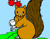 Coloring page Squirrel painted bywillsie