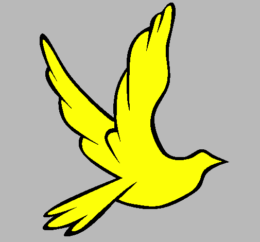 Dove of peace in flight