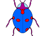 Coloring page Ladybird painted bytalha
