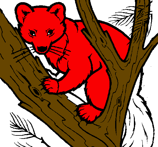 Coloring page Pine marten in tree painted bytalha