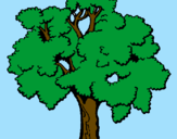 Coloring page Tree painted byBirch Tree