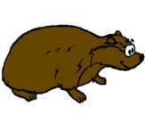 Coloring page Badger painted bytalha