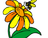 Coloring page Daisy with bee painted byyailyn