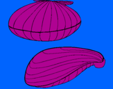 Coloring page Clams painted byDENIS