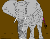 Coloring page Elephant painted bytalha
