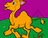 Coloring page Camel painted bynicole