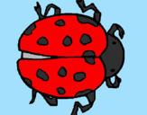Coloring page Ladybird painted bymaria 