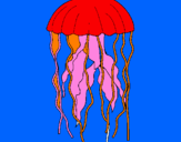 Coloring page Jellyfish painted bylena