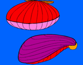 Coloring page Clams painted byvbgyfda