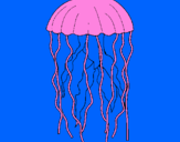 Coloring page Jellyfish painted byvictor